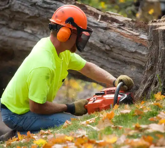 tree services Columbiaville